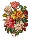 tile2