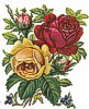 tile2