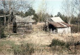 Arkansas Homestead